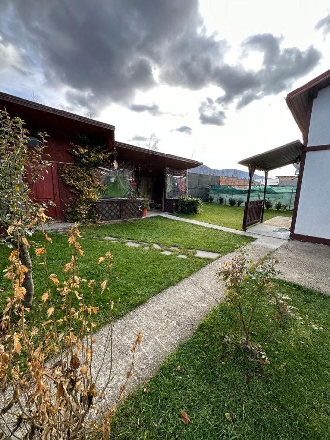 Casa Rares Busteni Buşteni Exterior foto