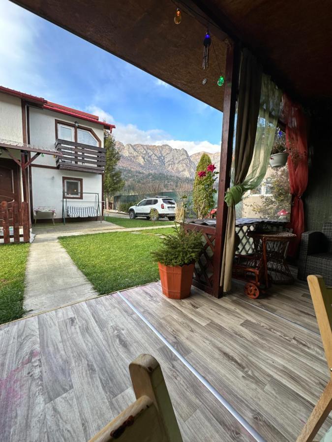 Casa Rares Busteni Buşteni Exterior foto